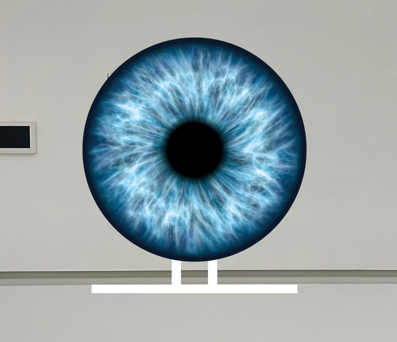ZEISS wall design