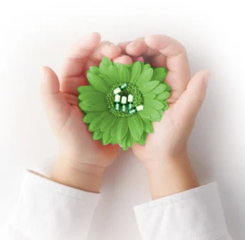 A green flower held in two cupped hands.