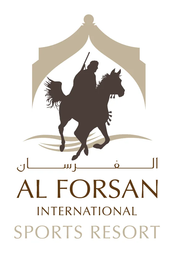 Logo option C of March 2009: a pale tent-shaped arch around the knight